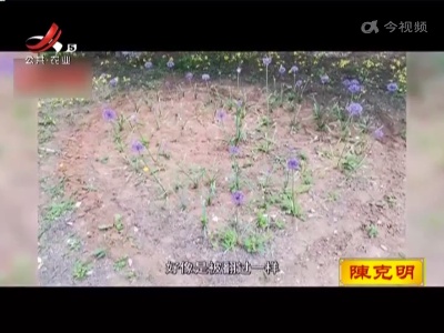 新闻晚高峰20220520