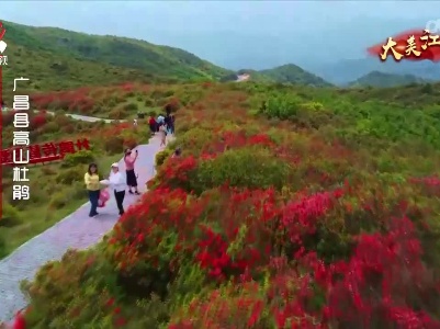 大美江西