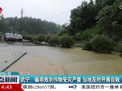 武宁：暴雨致农作物受灾严重 当地及时开展自救
