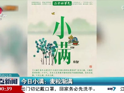 今日小满：麦粒渐满