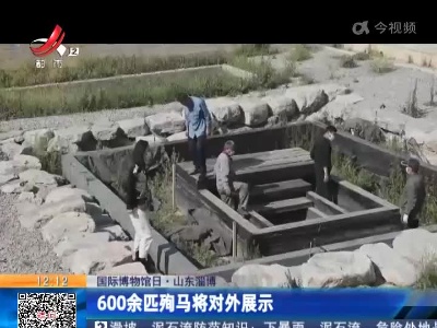 【国际博物馆日】山东淄博：600余匹殉马将对外展示