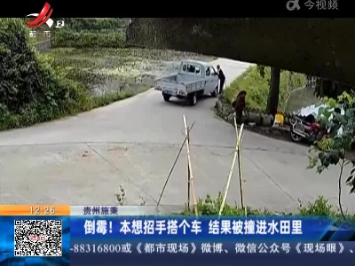 贵州施秉：倒霉！本想招手搭个车 结果被撞进水田里