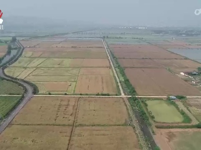 夏收夏管正当时  科技助力促丰收