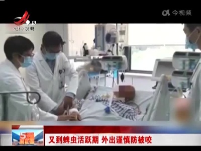 又到蜱虫活跃期 外出谨慎防被咬