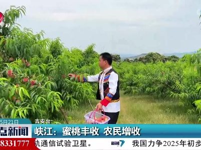 峡江：蜜桃丰收 农民增收