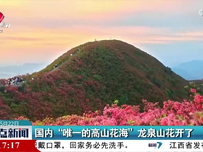 国内“唯一的高山花海”龙泉山花开了