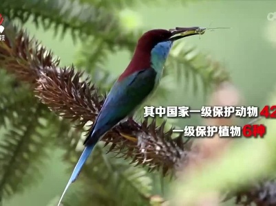 《江西省林业生物多样性保护公报》发布