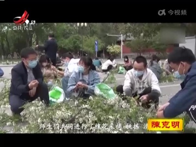 尝一口鲜花的味道