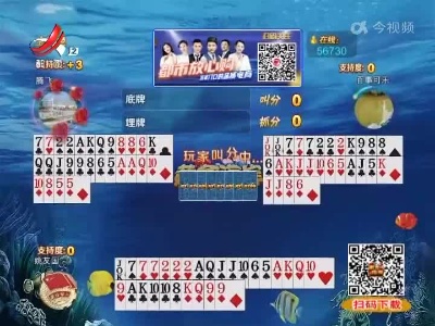 谁是赢家20220528