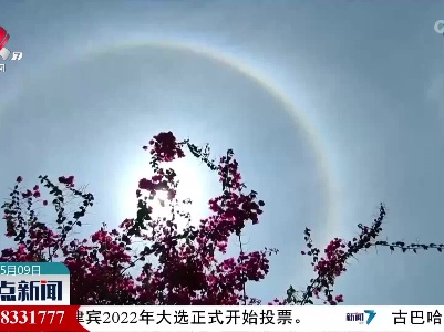 超美！海南多地出现日晕景观