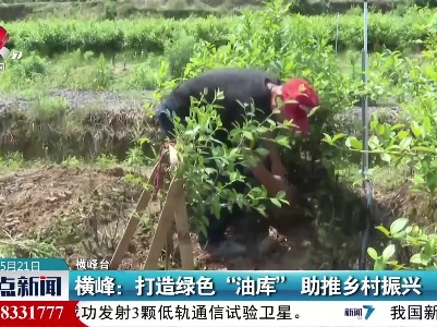 横峰：打造绿色“油库”助推乡村振兴