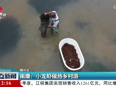 南康：小龙虾催热乡村游