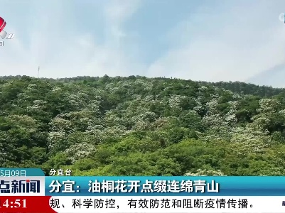 分宜：油桐花开点缀连绵青山
