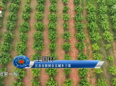 社会传真20220526 中医药产业：抓住机遇 高质量发展