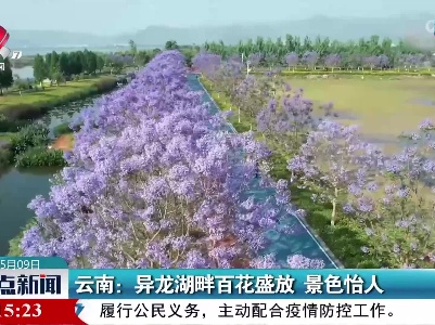 云南：异龙湖畔百花盛放 景色怡人