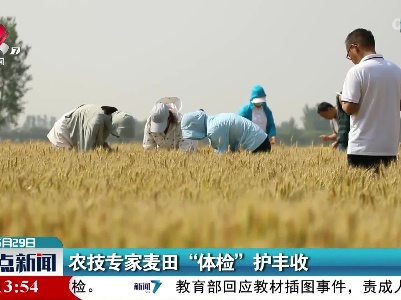 农技专家麦田“体检”护丰收