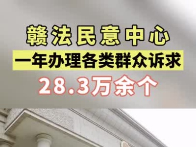 赣法民意中心一年办理各类群众诉求28.3万余个