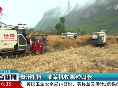 整点新闻20220516 10:00