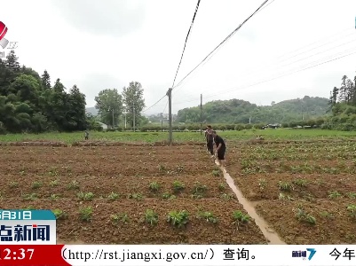 武宁县暴雨灾情严重 全力恢复农业生产