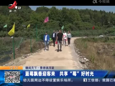 【赣闻天下】景德镇浮梁：蓝莓飘香迎客来 共享