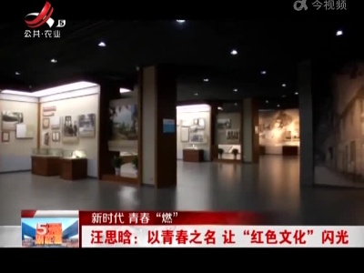【新时代 青春“燃”】汪思晗：以青春之名 让“红色文化”闪光
