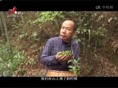 稻花香里20220518 乡村振兴进行时——吴以贵和他的深山野茶