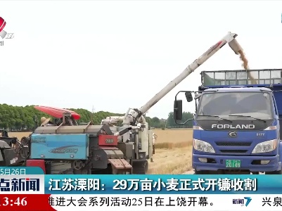 江苏溧阳：29万亩小麦正式开镰收割