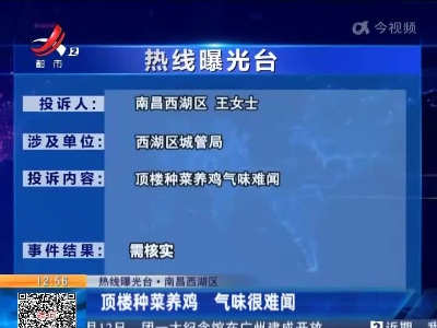 【热线曝光台·南昌西湖区】顶楼种菜养鸡 气味很难闻