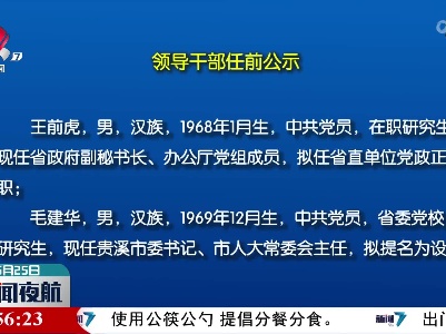 领导干部任前公示