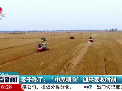 麦子熟了：“中原粮仓”迎来麦收时刻