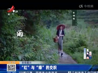 吉安遂川：“红”与