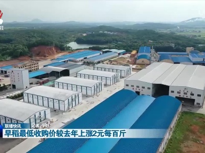 早稻最低收购价较去年上涨2元每百斤