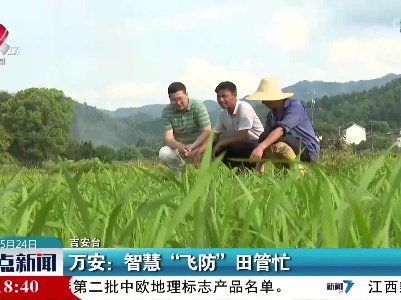 万安：智慧“飞防”田管忙