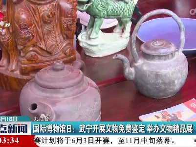 国际博物馆日：武宁开展文物免费鉴定 举办文物精品展