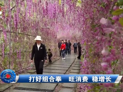 社会传真20220506 打好组合拳 旺消费 稳增长
