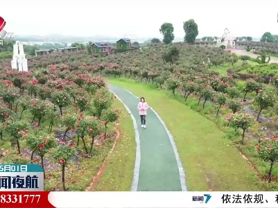 五一假期：寄情山水间 畅享生态美