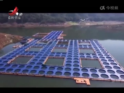 稻花香里20220513 乡村振兴进行时——住在”水上航母”的鱼
