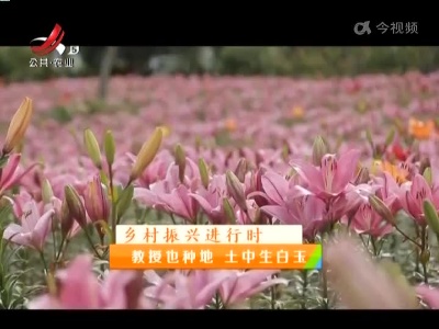 稻花香里20220520 乡村振兴进行时——教授也种地 土中生白玉