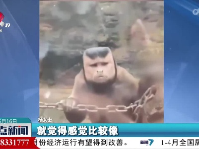 它长了一张“国字脸”
