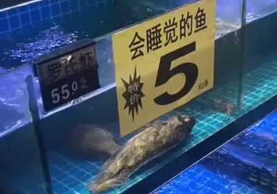 观察丨食品安全不容许“抖机灵”