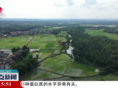 整点新闻20220524 12:00