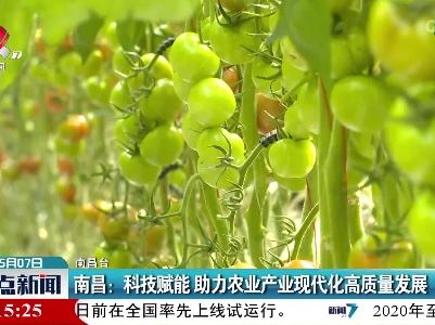 南昌：科技赋能 助力农业产业现代化高质量发展