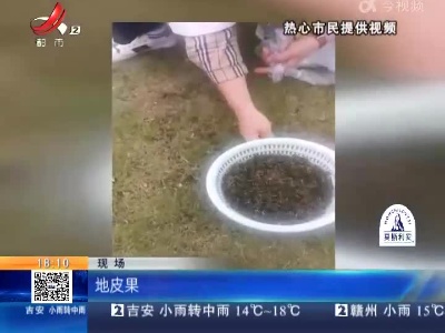 南昌：路边