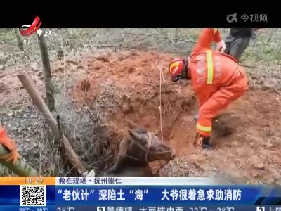 【救在现场】抚州崇仁：“老伙计”深陷土“海” 大爷很着急求助消防