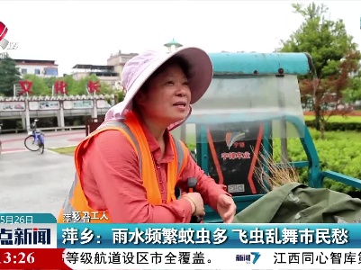 萍乡：雨水频繁蚊虫多 飞虫乱舞市民愁