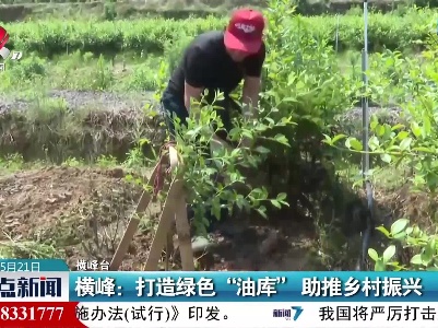 横峰：打造绿色“油库”助推乡村振兴