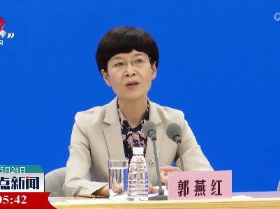郭燕红介绍常态化疫情防控形势下准备方舱医院的意义