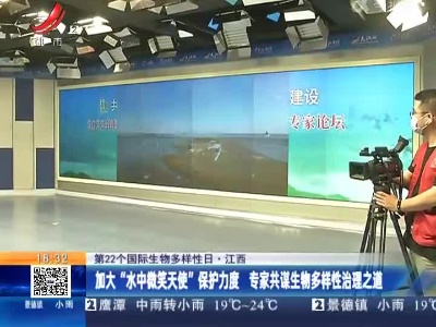 【第22个国际生物多样性日】江西：加大“水中微笑天使”保护力度 专家共谋生物多样性治理之道