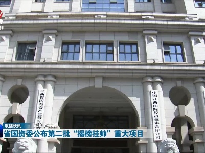 省国资委公布第二批“揭榜挂帅”重大项目