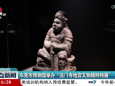 东莞市博物馆举办“法门寺地宫文物精粹特展”